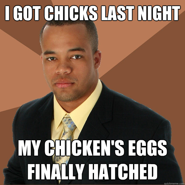 I got chicks last night My chicken's eggs finally hatched   Successful Black Man