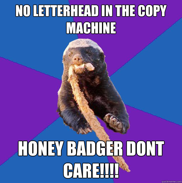 no letterhead in the copy machine honey badger dont care!!!!  Honey Badger Dont Care