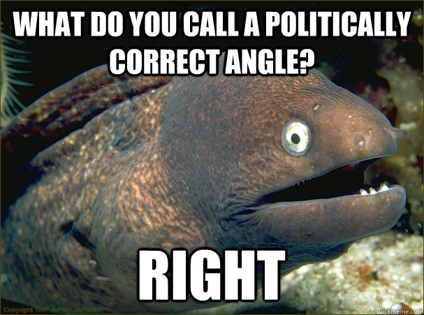 What do you call a politically correct angle? right  Bad Joke Eel