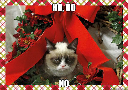 HO, HO NO  A Grumpy Cat Christmas