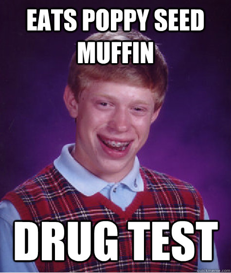 Eats Poppy seed muffin drug test - Eats Poppy seed muffin drug test  Bad Luck Brian