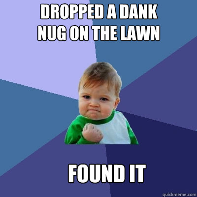 Dropped a dank nug on the lawn Found it  Success Kid