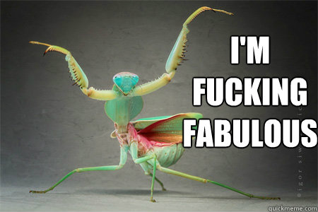 I'm Fucking fabulous - I'm Fucking fabulous  Fabulous Mantis