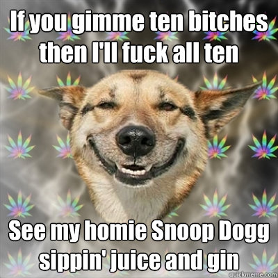 If you gimme ten bitches then I'll fuck all ten See my homie Snoop Dogg sippin' juice and gin  Stoner Dog