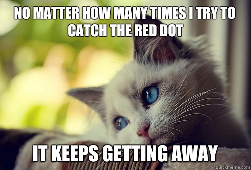 No matter how many times I try to catch the red dot It keeps getting away  First World Problems Cat