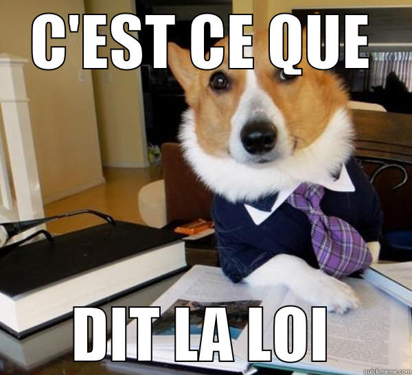 Il faut le réintégrer - C'EST CE QUE DIT LA LOI Lawyer Dog