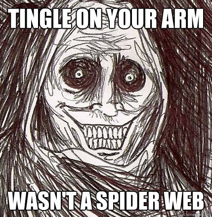 Tingle on your arm wasn't a spider web  Horrifying Houseguest