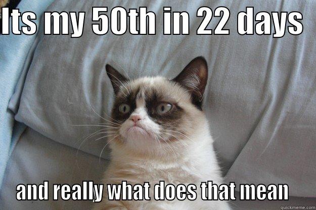 ITS MY 50TH IN 22 DAYS   AND REALLY WHAT DOES THAT MEAN   Grumpy Cat