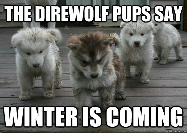 The Direwolf Pups Say Winter is coming - The Direwolf Pups Say Winter is coming  direwolf winter