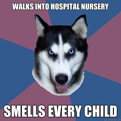 Walks into hospital nursery Smells every child - Walks into hospital nursery Smells every child  Creeper Canine