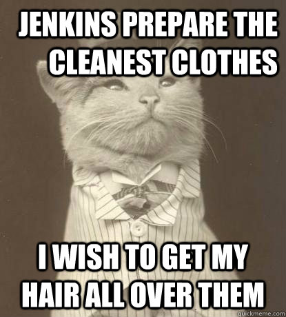 Jenkins prepare the cleanest clothes I wish to get my hair all over them  Aristocat