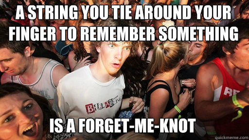 a string you tie around your finger to remember something is a forget-me-knot - a string you tie around your finger to remember something is a forget-me-knot  Sudden Clarity Clarence