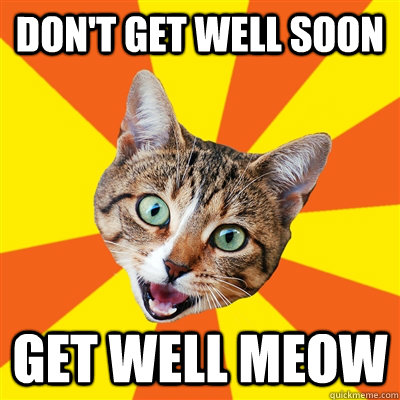 don't get well soon get well meow  Bad Advice Cat