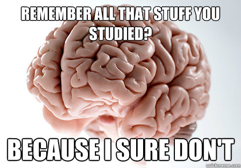 Remember all that stuff you studied? Because I sure don't  Scumbag Brain