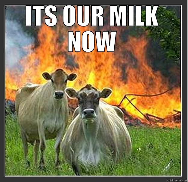 ITS OUR MILK NOW  Evil cows