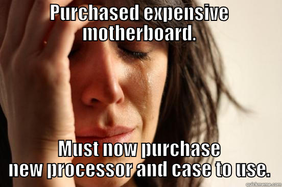 PURCHASED EXPENSIVE MOTHERBOARD. MUST NOW PURCHASE NEW PROCESSOR AND CASE TO USE. First World Problems