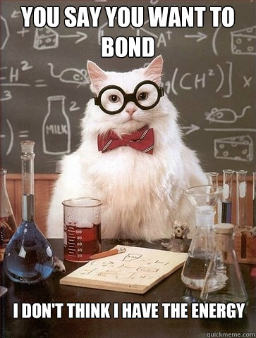 You Say you want to bond I don't think I have the energy  Chemistry Cat