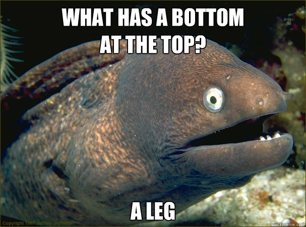 What has a bottom
at the top? A leg - What has a bottom
at the top? A leg  Bad Joke Eel