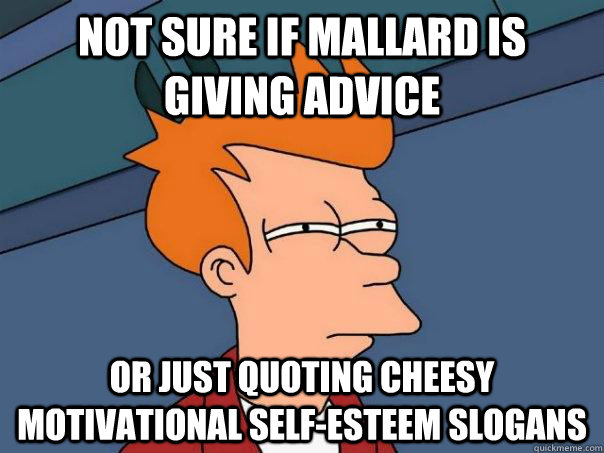 Not sure if mallard is giving advice Or just quoting cheesy motivational self-esteem slogans  Futurama Fry