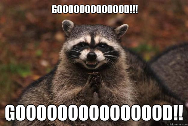 gooooooooooood!!! gooooooooooooood!!  Evil Plotting Raccoon