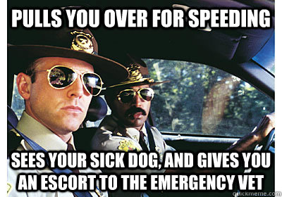 Pulls you over for Speeding sees your sick dog, and gives you an escort to the Emergency vet  