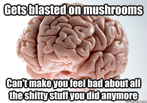 Gets blasted on mushrooms Can't make you feel bad about all the shitty stuff you did anymore  Scumbag Brain