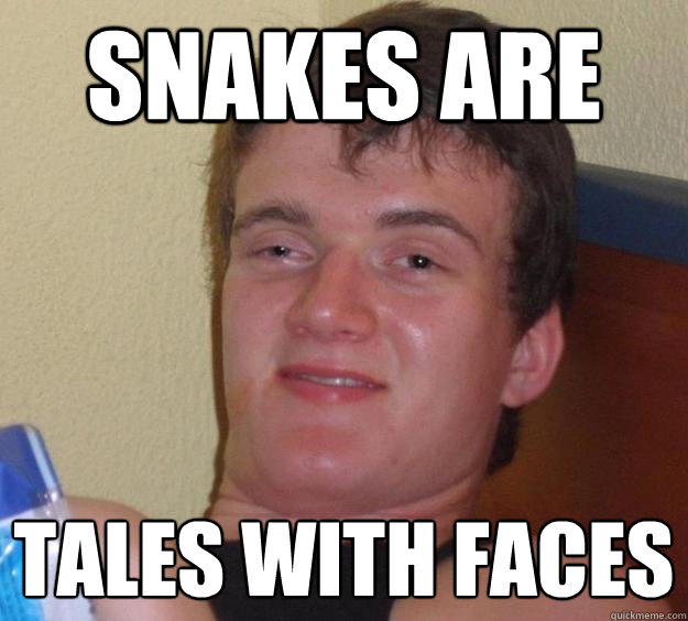 Snakes are Tales with faces  10 Guy