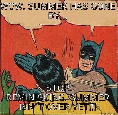 On July 31st.... - WOW. SUMMER HAS GONE BY... STOP REMINISCING. SUMMER ISN'T OVER YET!!! Batman Slapping Robin