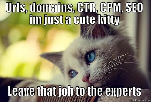 URLS, DOMAINS, CTR, CPM, SEO IM JUST A CUTE KITTY LEAVE THAT JOB TO THE EXPERTS First World Problems Cat