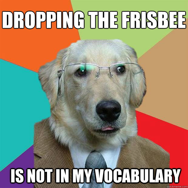 Dropping the frisbee
 Is not in my vocabulary   Business Dog