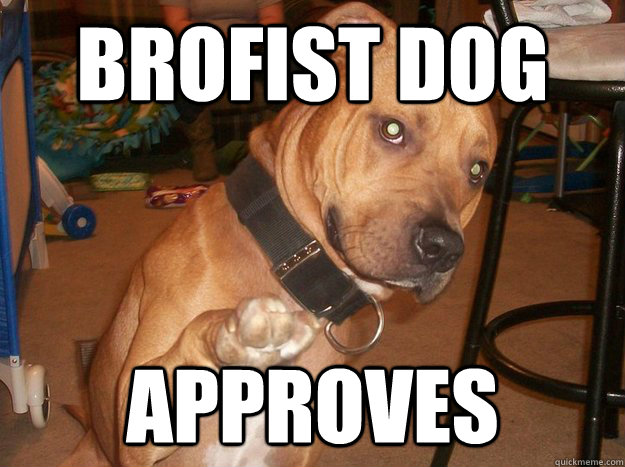 Brofist dog approves  