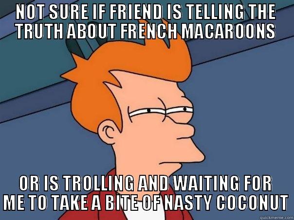 macaroon trolling - NOT SURE IF FRIEND IS TELLING THE TRUTH ABOUT FRENCH MACAROONS OR IS TROLLING AND WAITING FOR ME TO TAKE A BITE OF NASTY COCONUT Futurama Fry