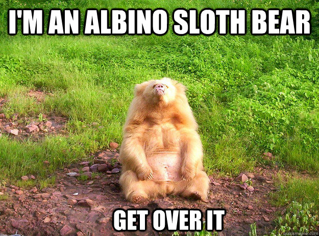 I'm an albino sloth bear Get over it - I'm an albino sloth bear Get over it  AlbinoSlothBearMeme