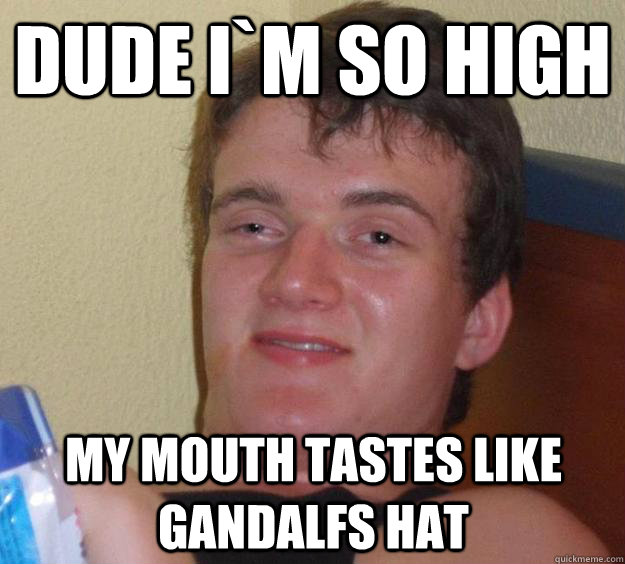 Dude I`m so High My mouth tastes like Gandalfs hat  10 Guy