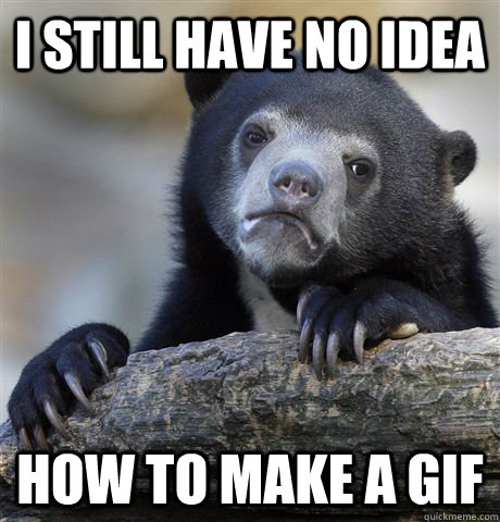 I still have no idea how to make a gif  Confession Bear