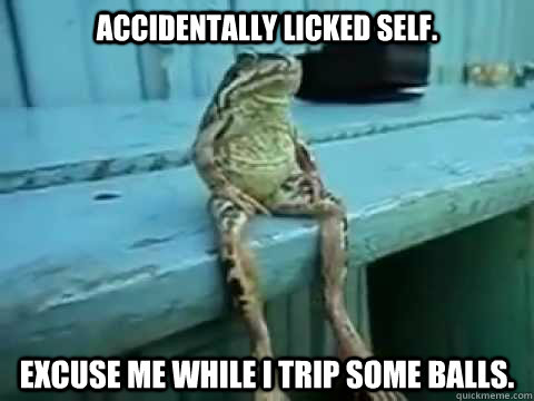 Accidentally licked self. Excuse me while I trip some balls.  SITTING FROG