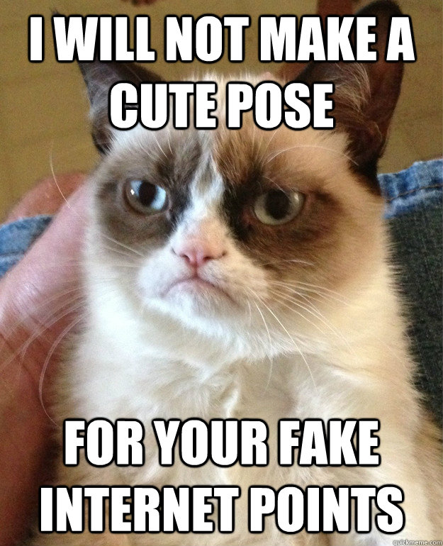 I will not make a cute pose for your fake internet points  Grumpy Cat