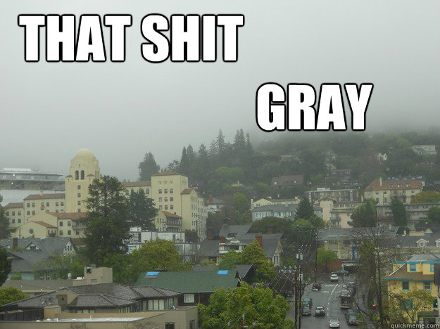 that shit 
                        gray - that shit 
                        gray  That shit gray