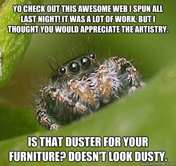 Yo check out this awesome web i spun all last night! It was a lot of work, but i thought you would appreciate the artistry. Is that duster for your furniture? Doesn't look dusty. - Yo check out this awesome web i spun all last night! It was a lot of work, but i thought you would appreciate the artistry. Is that duster for your furniture? Doesn't look dusty.  Misunderstood Spider