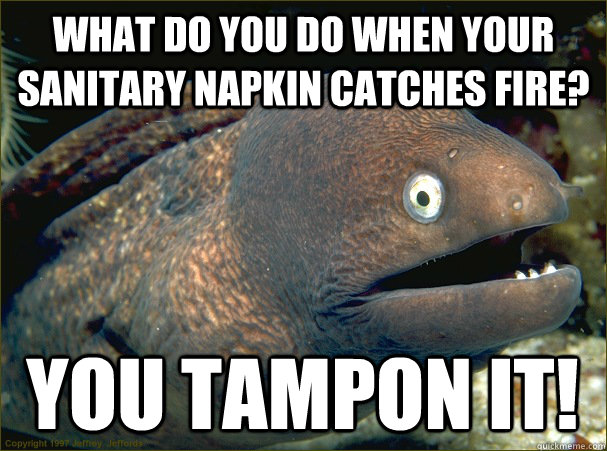 What do you do when your sanitary napkin catches fire? You tampon it!  Bad Joke Eel