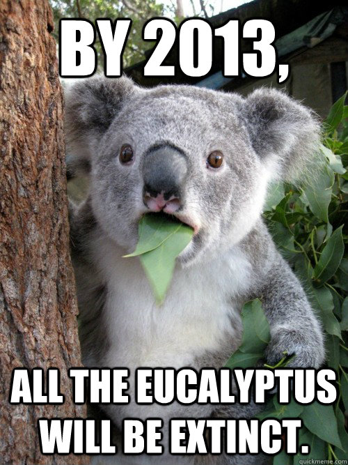 by 2013, ALL the eucalyptus will be extinct. - by 2013, ALL the eucalyptus will be extinct.  koala bear