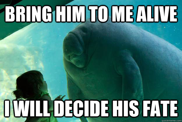 Bring him to me alive I will decide his fate - Bring him to me alive I will decide his fate  Overlord Manatee