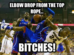 Elbow drop from the top rope... bitches! - Elbow drop from the top rope... bitches!  TROBtoprope