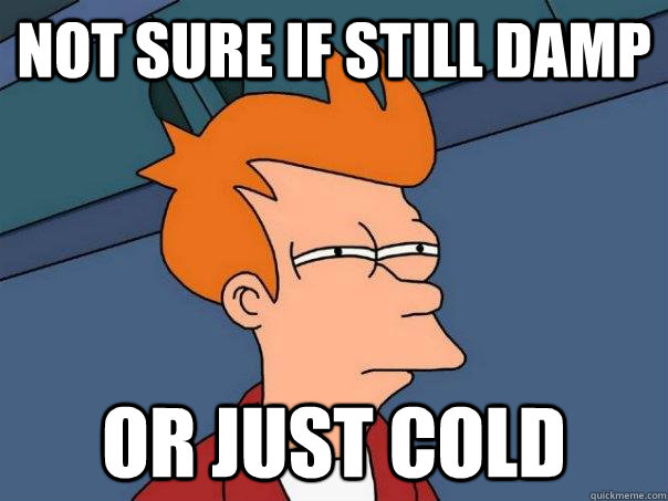 not sure if still damp Or just cold  Futurama Fry