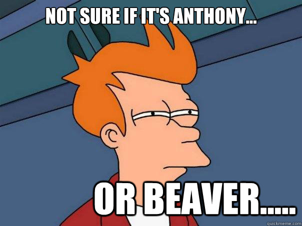 Not sure if it's anthony... Or beaver.....  Futurama Fry