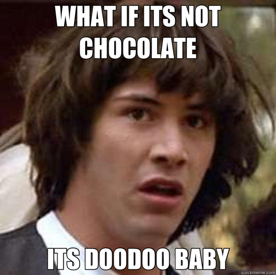 WHAT IF ITS NOT CHOCOLATE ITS DOODOO BABY  conspiracy keanu