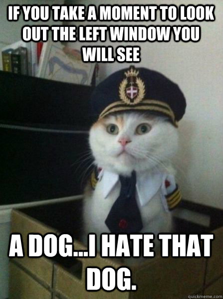 If you take a moment to look out the left window you will see A dog...I hate that dog. - If you take a moment to look out the left window you will see A dog...I hate that dog.  Captain kitteh