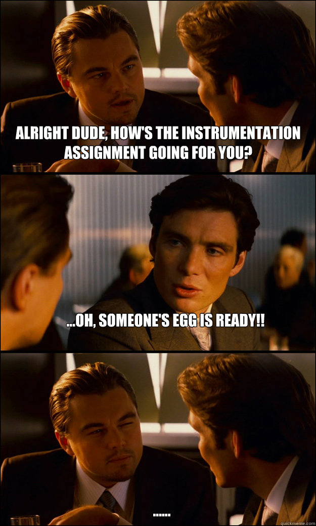 Alright dude, how's the instrumentation assignment going for you? ...Oh, someone's egg is ready!! ......  Inception