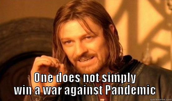  ONE DOES NOT SIMPLY WIN A WAR AGAINST PANDEMIC Boromir