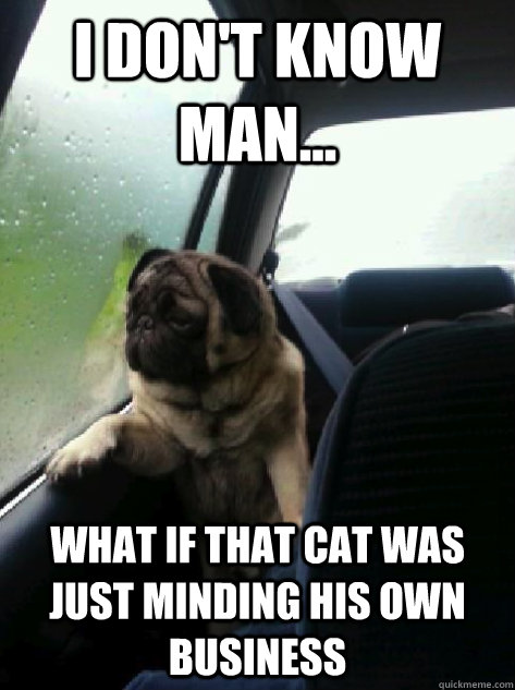 I don't know man... What if that cat was just minding his own business  Introspective Pug